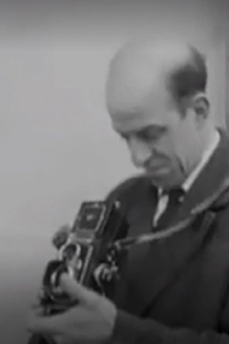 Portraits (Passing by) poster