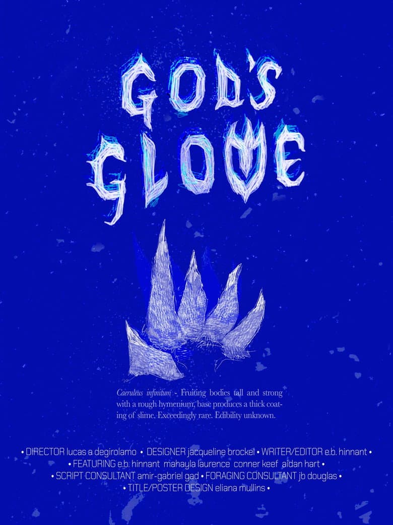 God's Glove poster