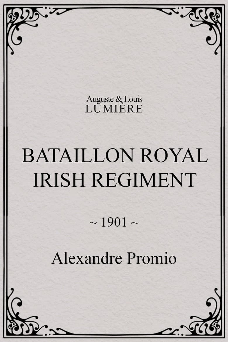 Bataillon Royal Irish Regiment poster