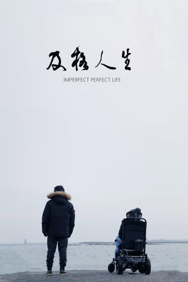 Imperfect Perfect Life poster