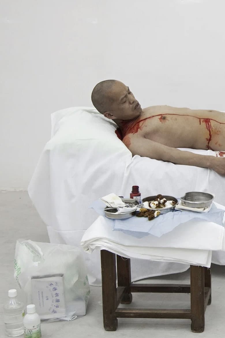 One Meter Democracy poster