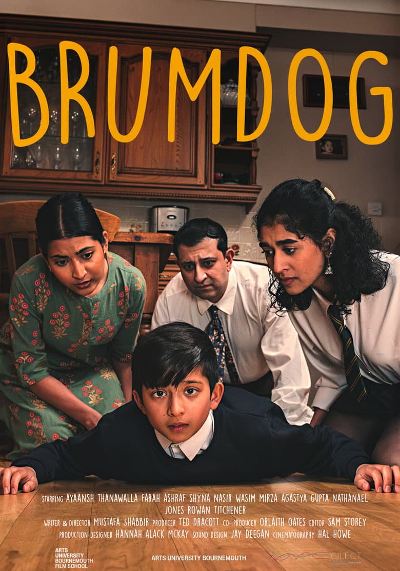 Brumdog poster