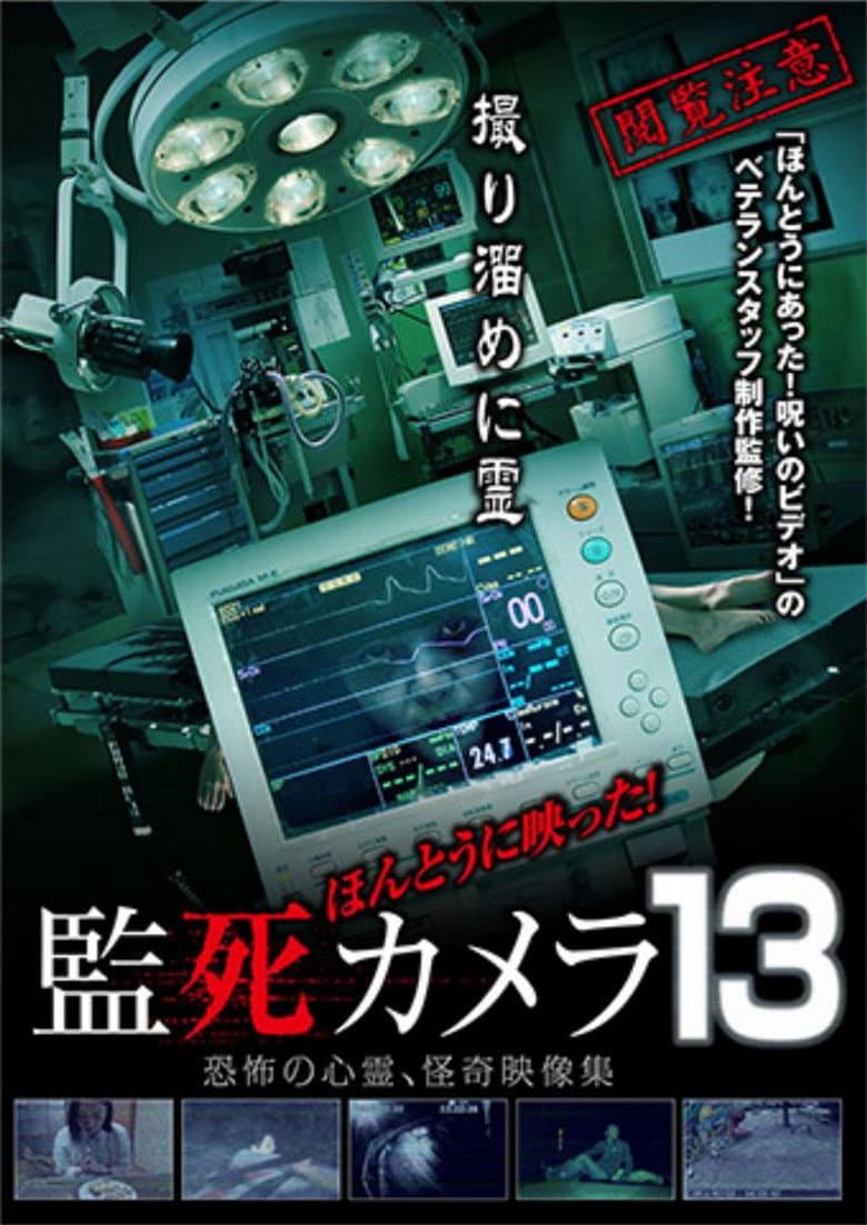 Paranormal Surveillance Camera 13 poster