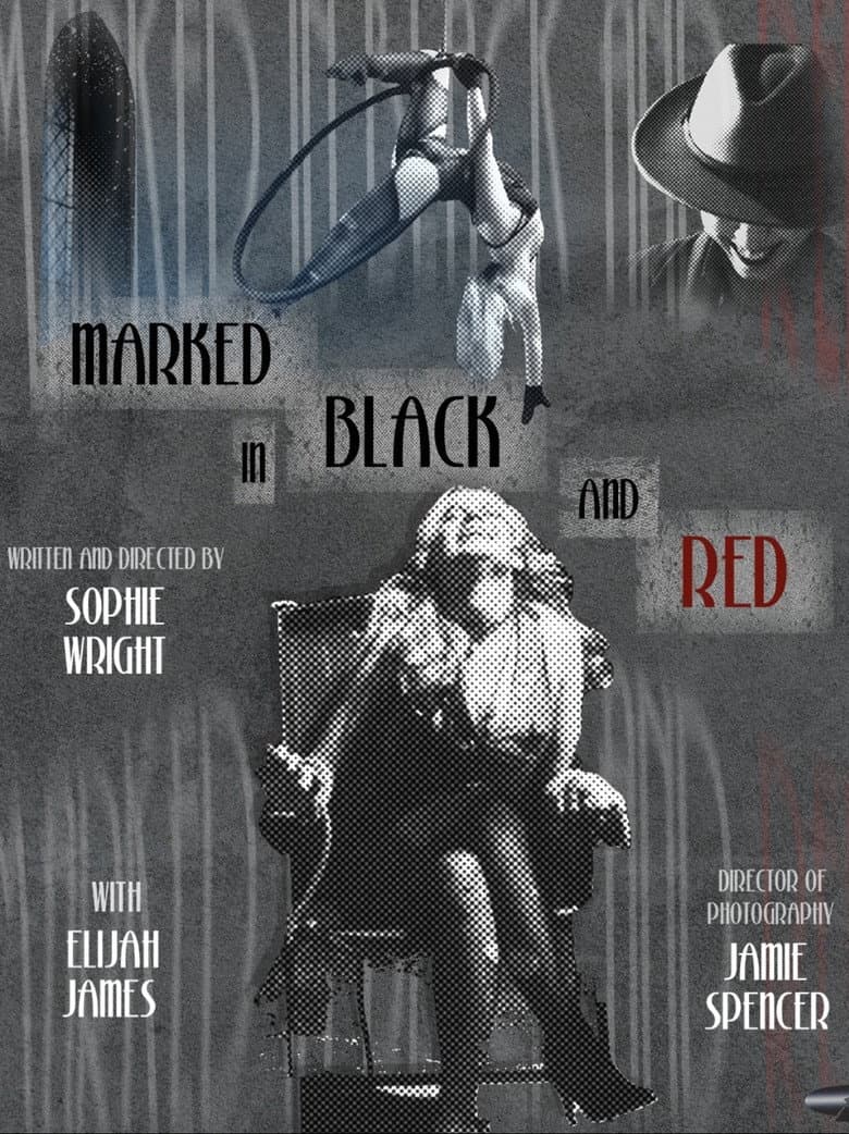 Harley and Joker: Marked in Black and Red poster