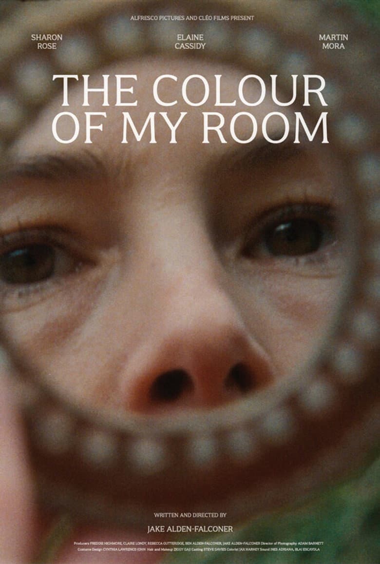 The Colour of My Room poster