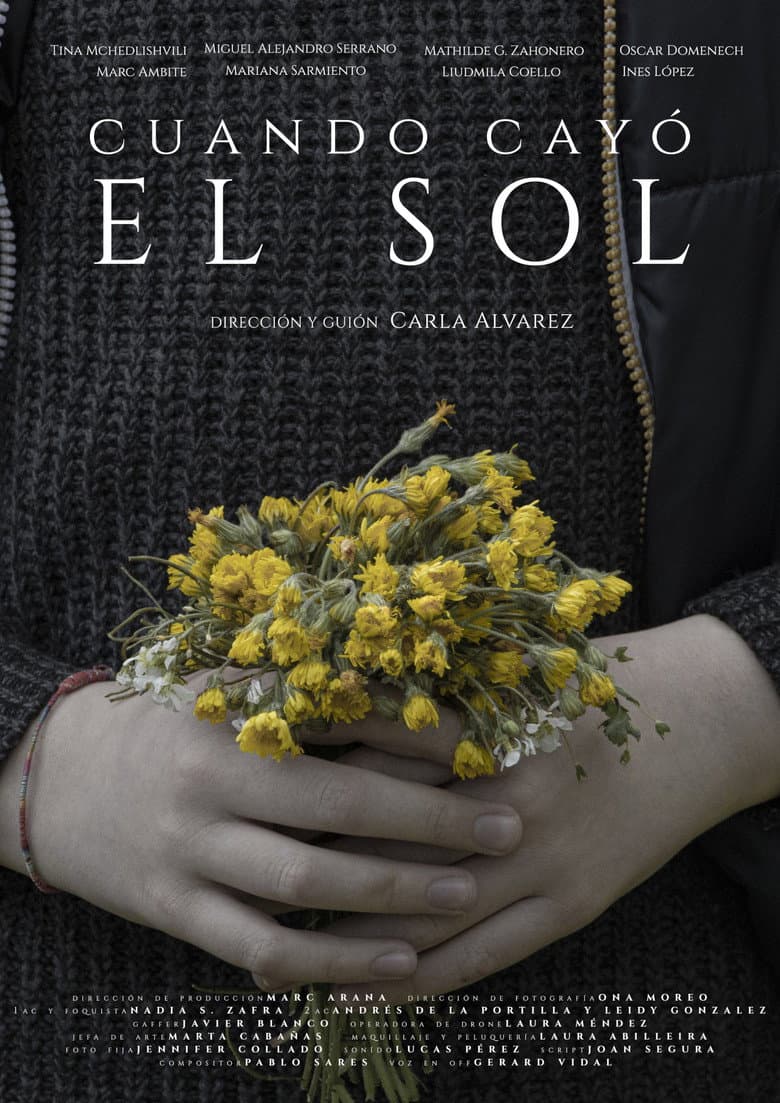 Cuando cayó el sol poster