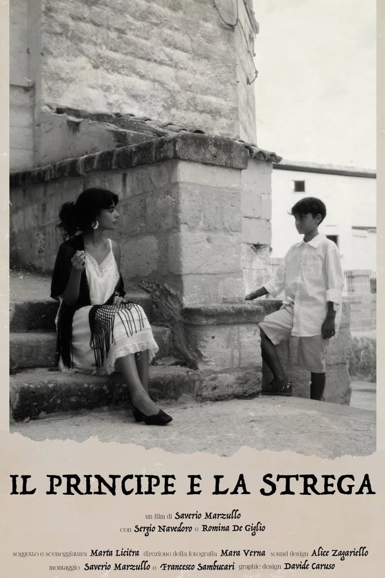 The Prince and the Witch poster