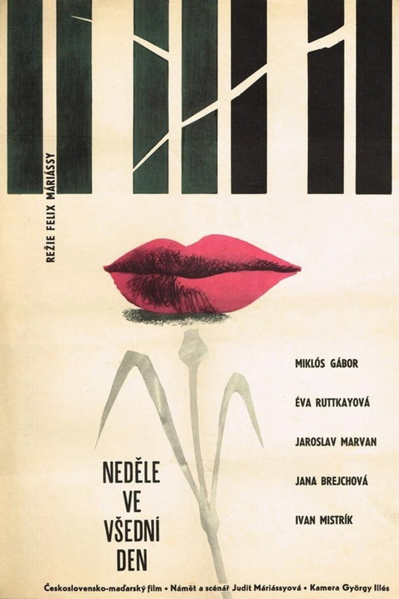 Every Day - Sunday poster