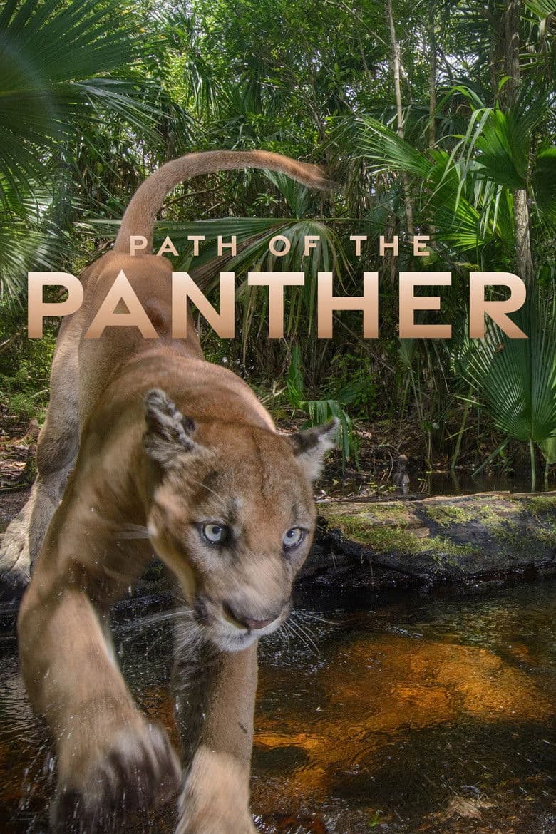 Path of the Panther poster