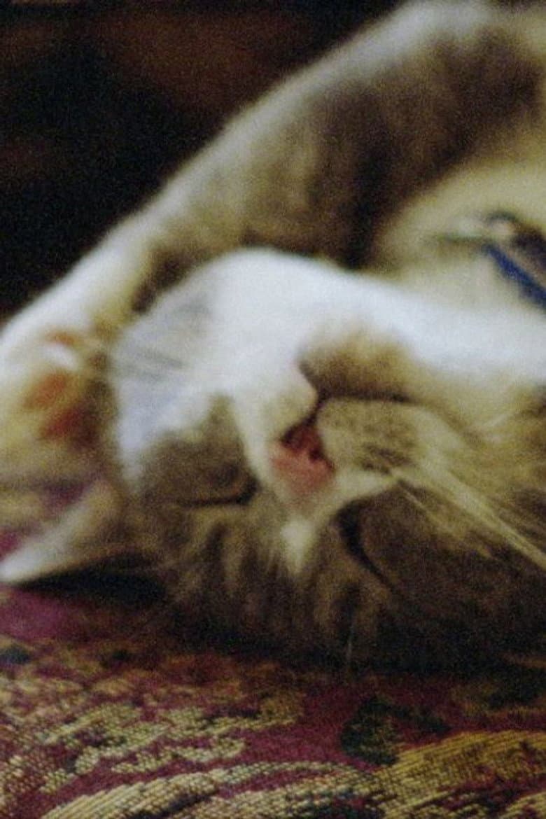 Pitcher of Colored Light poster