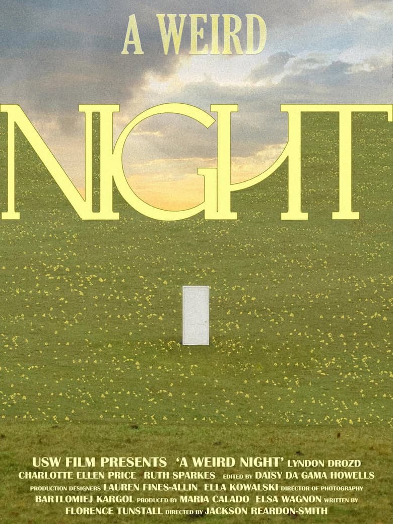 A Weird Night poster