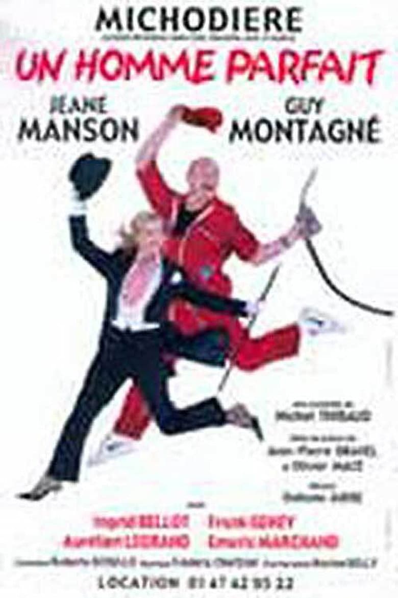 Un homme parfait poster