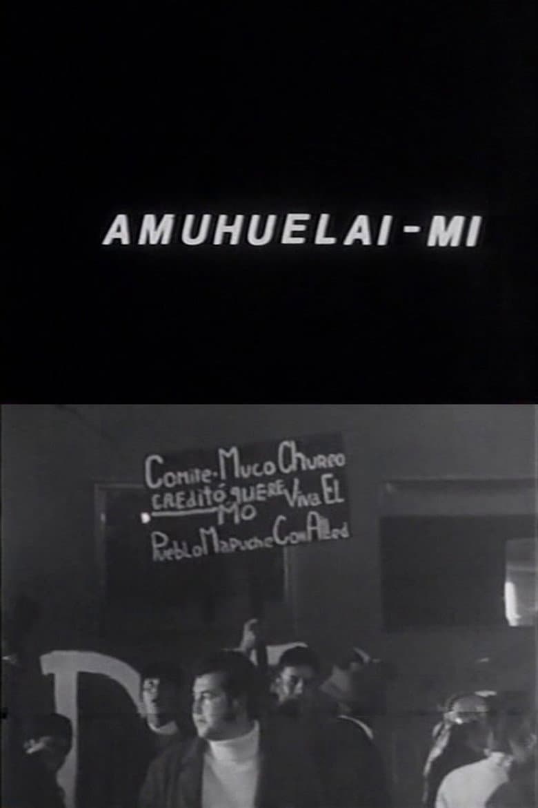 Amuhuelai-mi poster