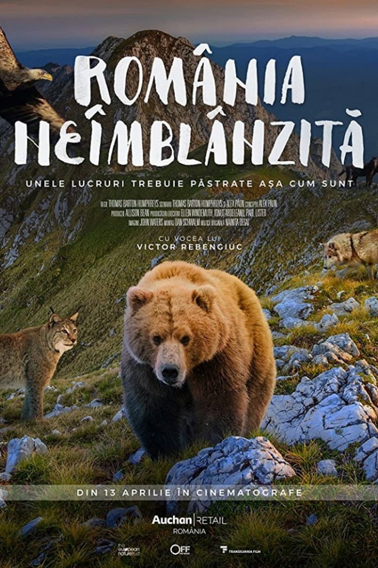 Divoké Rumunsko poster