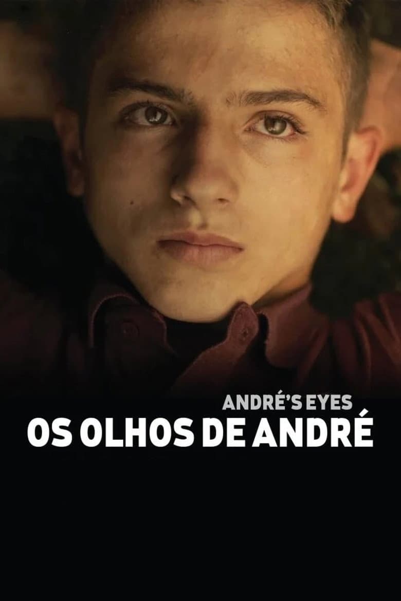 André's Eyes poster