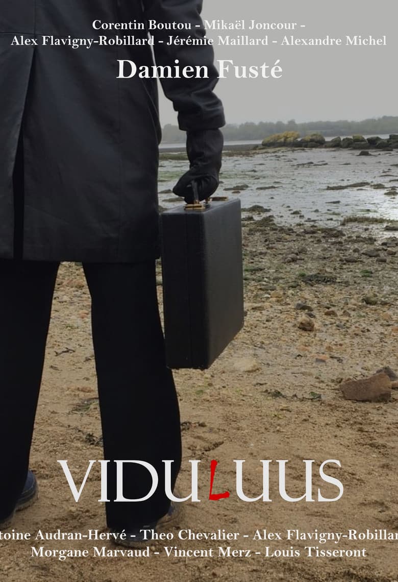 ViduLuus poster