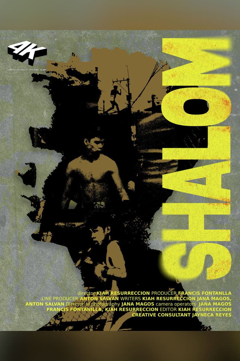 Shalom poster
