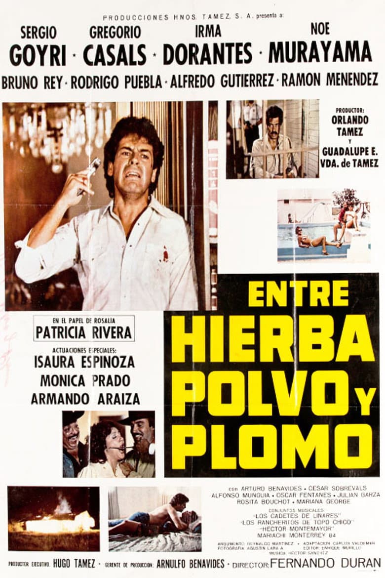 Entre Hierba, Polvo y Plomo poster