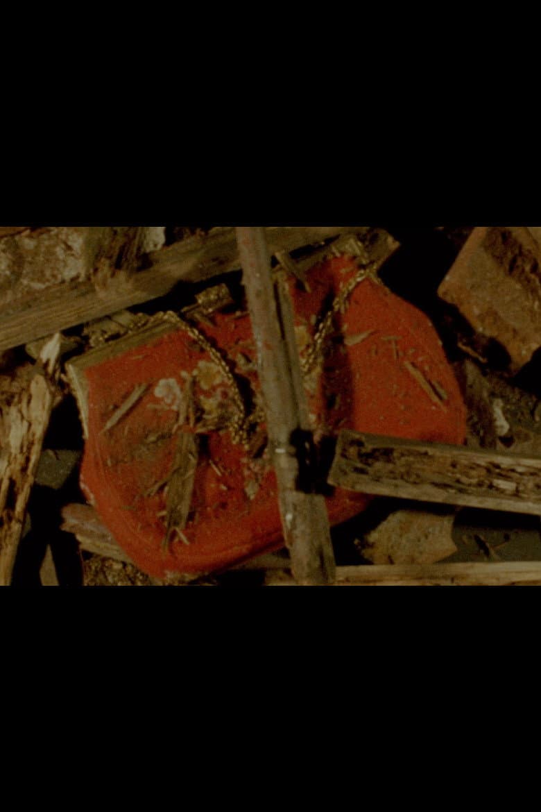 The Red Purse poster