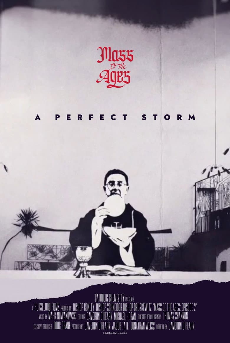 Mass of the Ages: A Perfect Storm poster