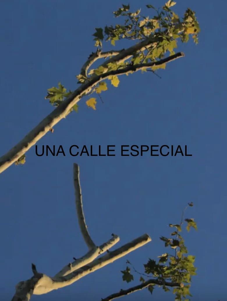 Una Calle Especial poster