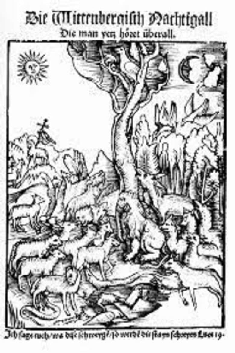 The Wittenberg Nightingale poster