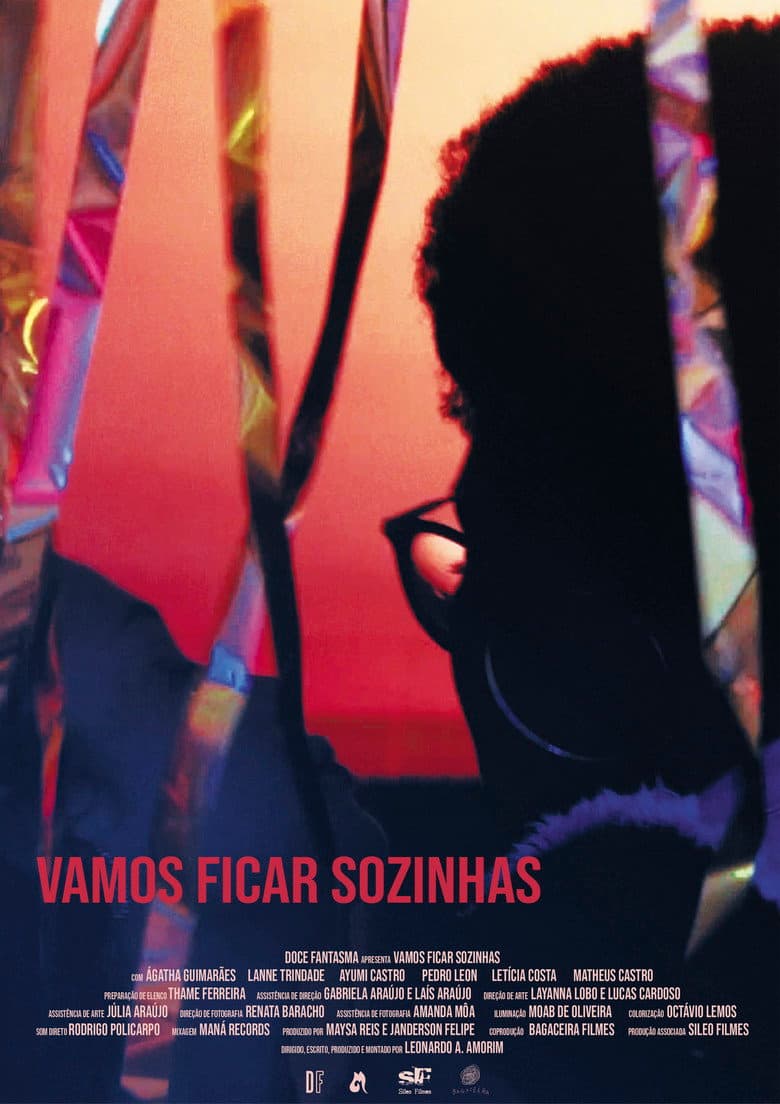 Vamos Ficar Sozinhas poster