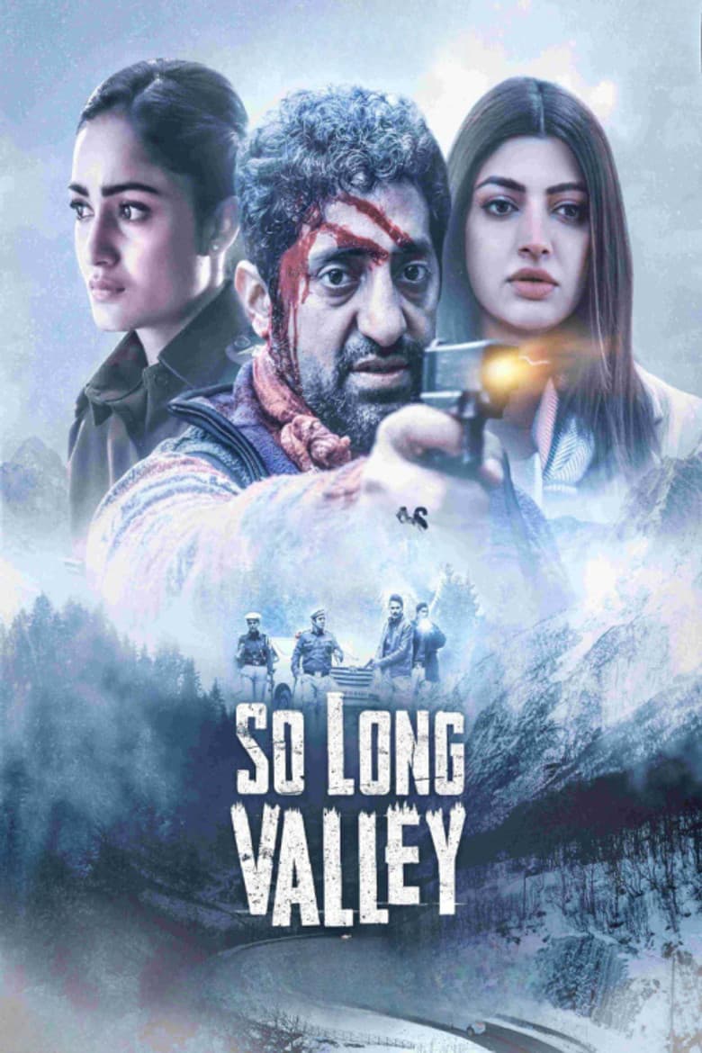 So Long Valley poster