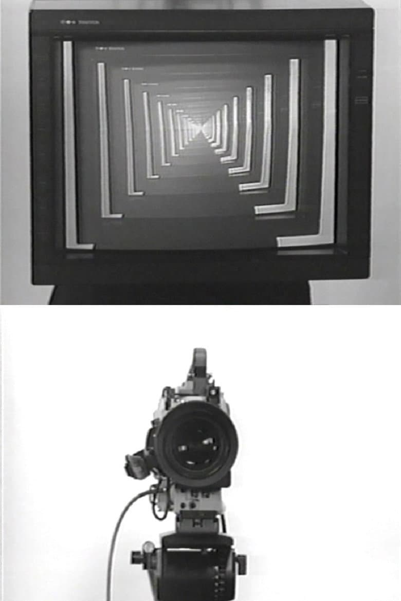 Observer / Observed poster