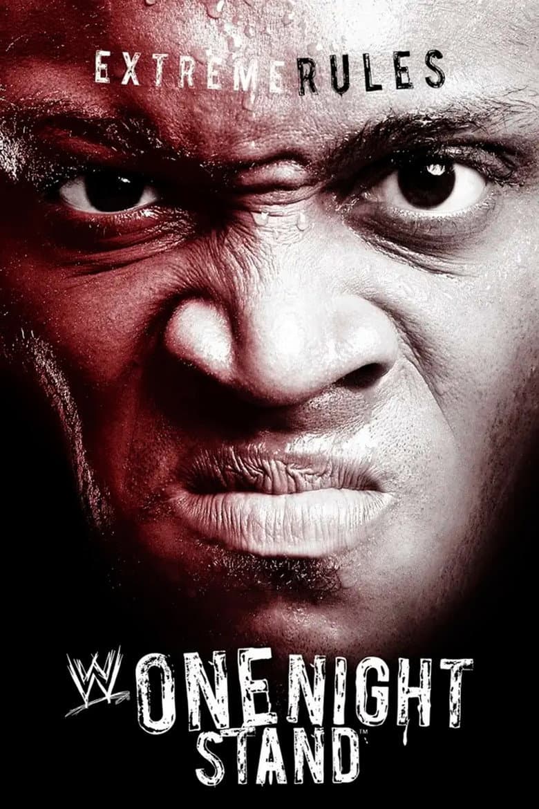 WWE One Night Stand 2007 poster
