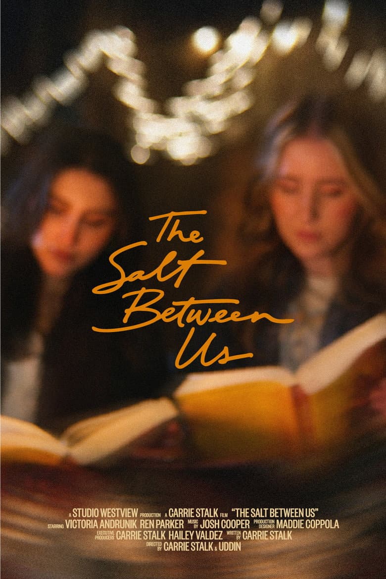 The Salt Between Us poster