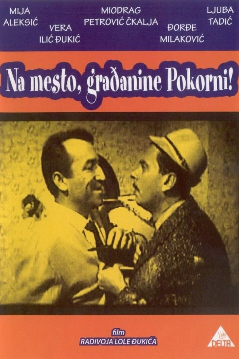 Citizen Pokorni poster