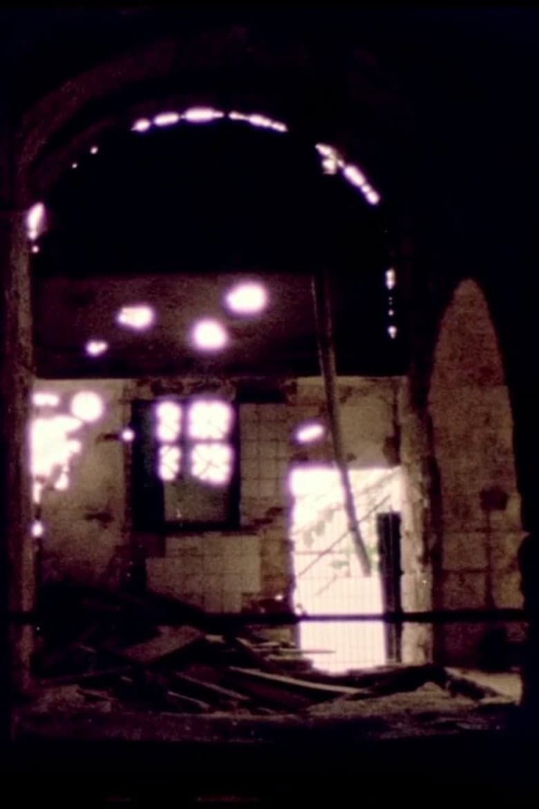 A Revolt Without Images poster