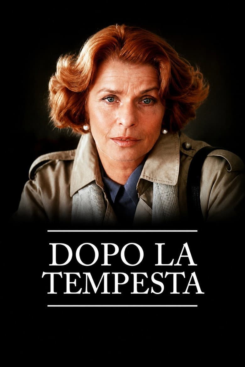 Dopo la tempesta poster