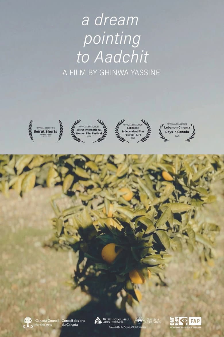 A Dream Pointing to Aadchit poster
