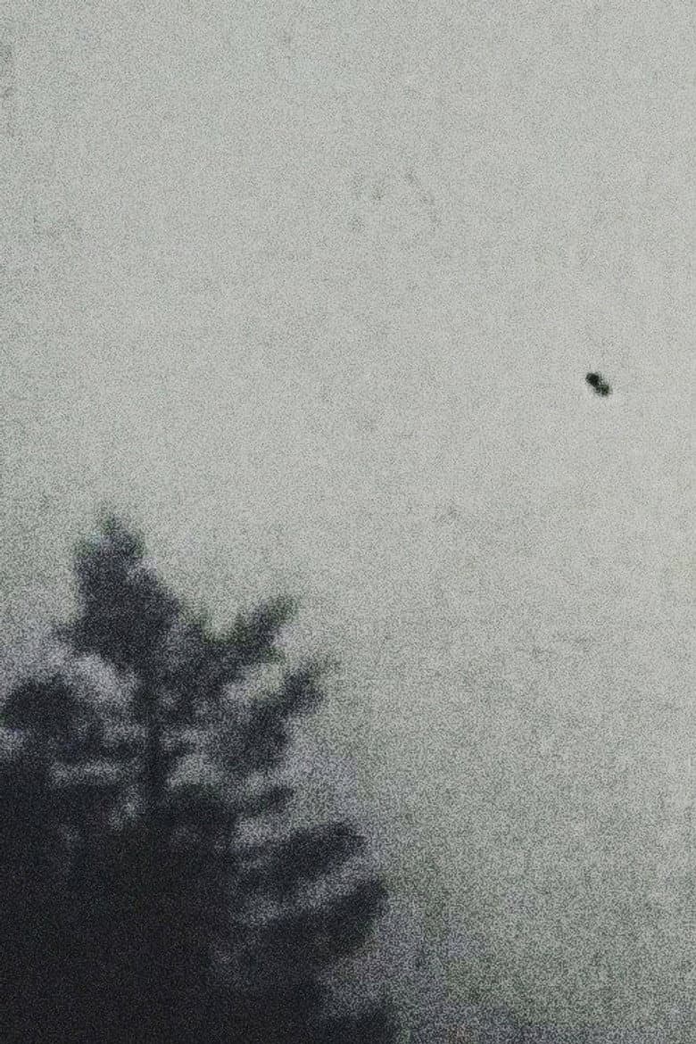 Kiri (The Fog) poster