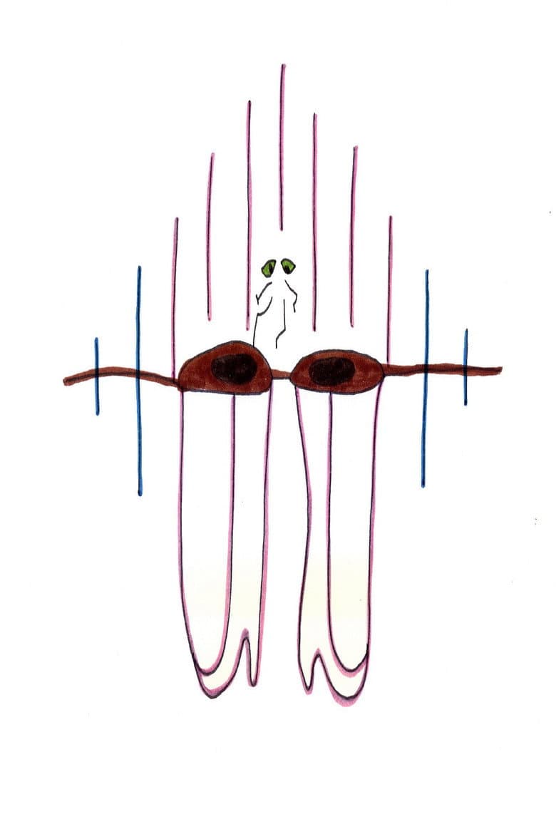 Big Brown Eyes poster