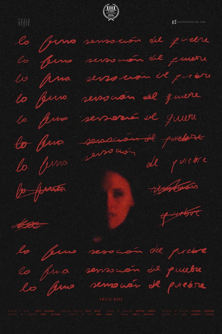 La fina sensación del quiebre poster