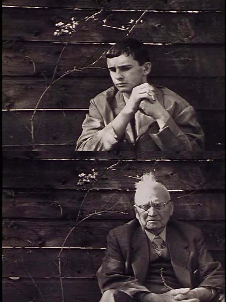 Filmmaker's Holiday poster