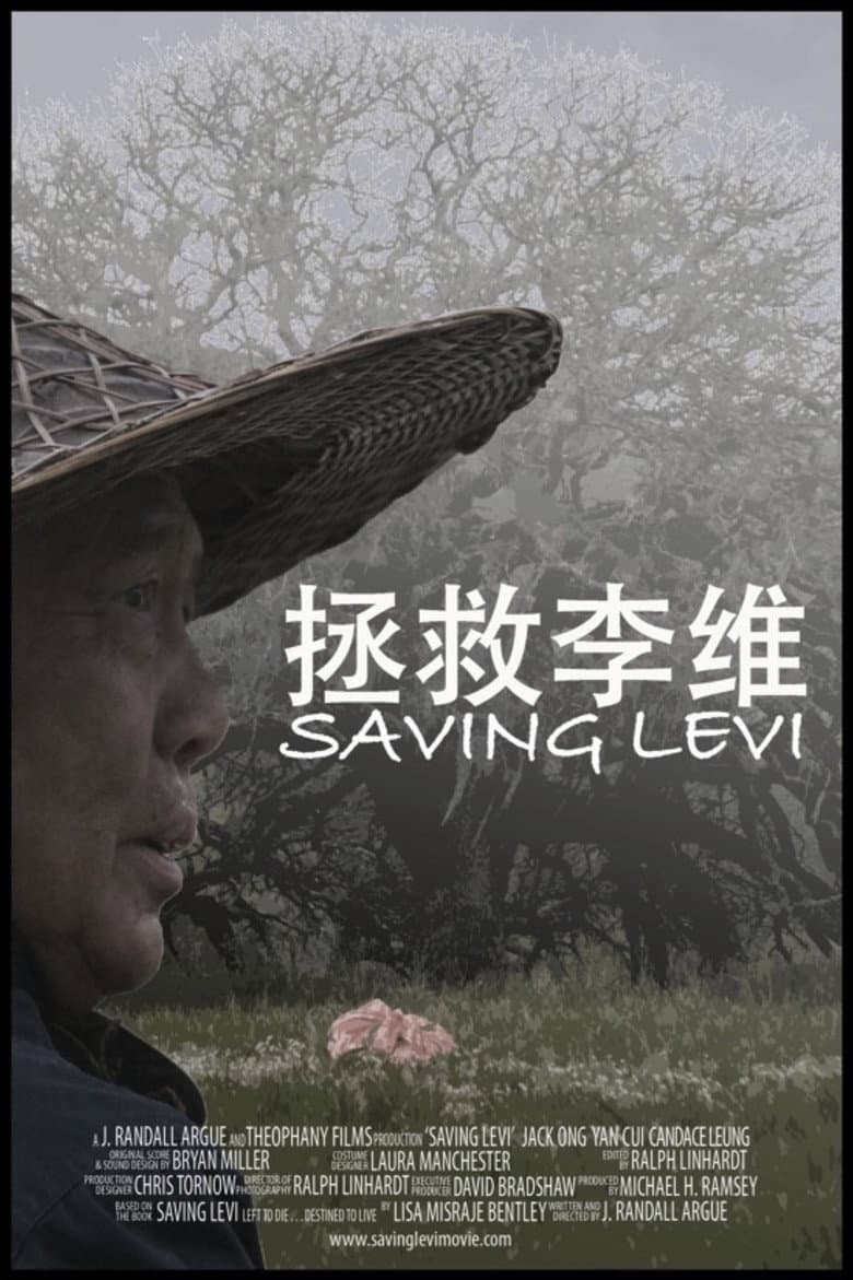 Saving Levi poster