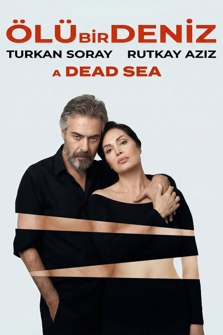 A Dead Sea poster