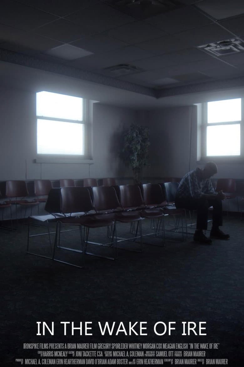 In the Wake of Ire poster