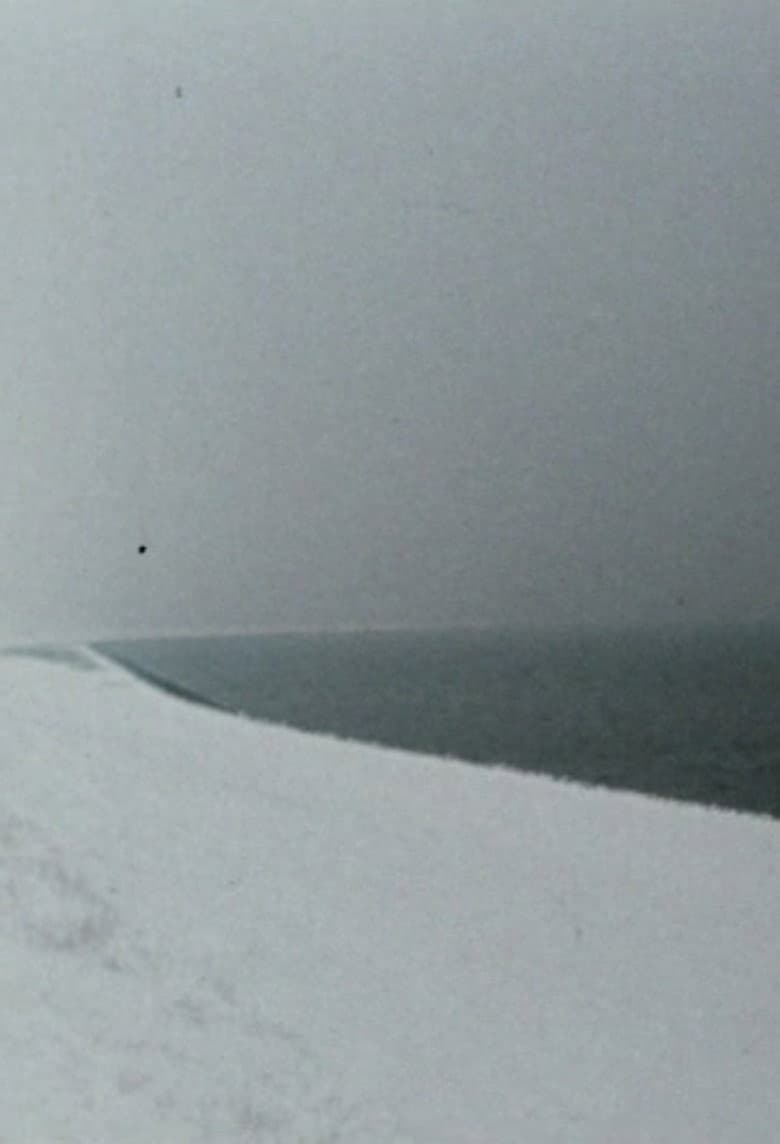 Zufalls-Horizonte poster