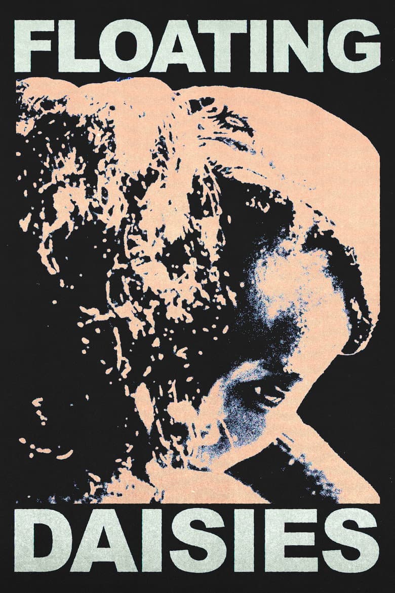 Floating Daisies poster
