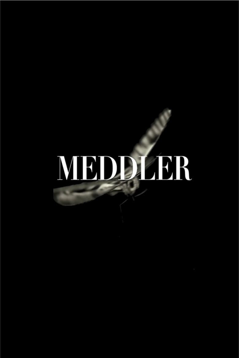 Meddler poster
