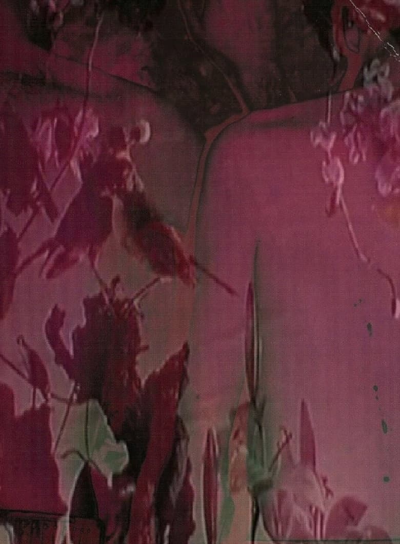 Los Ángeles Patrullan poster