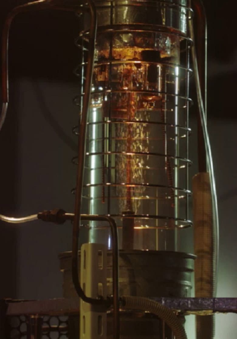 Visualized Hearts poster