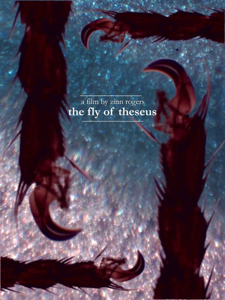 The Fly of Theseus poster
