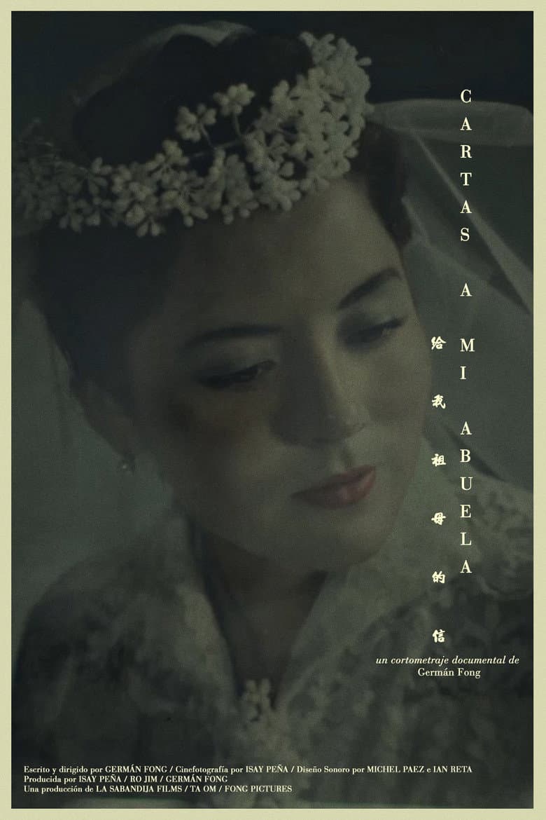 Letters to my Grandma poster