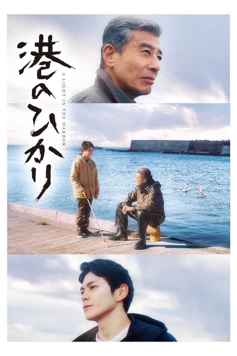 A Light in the Harbor poster